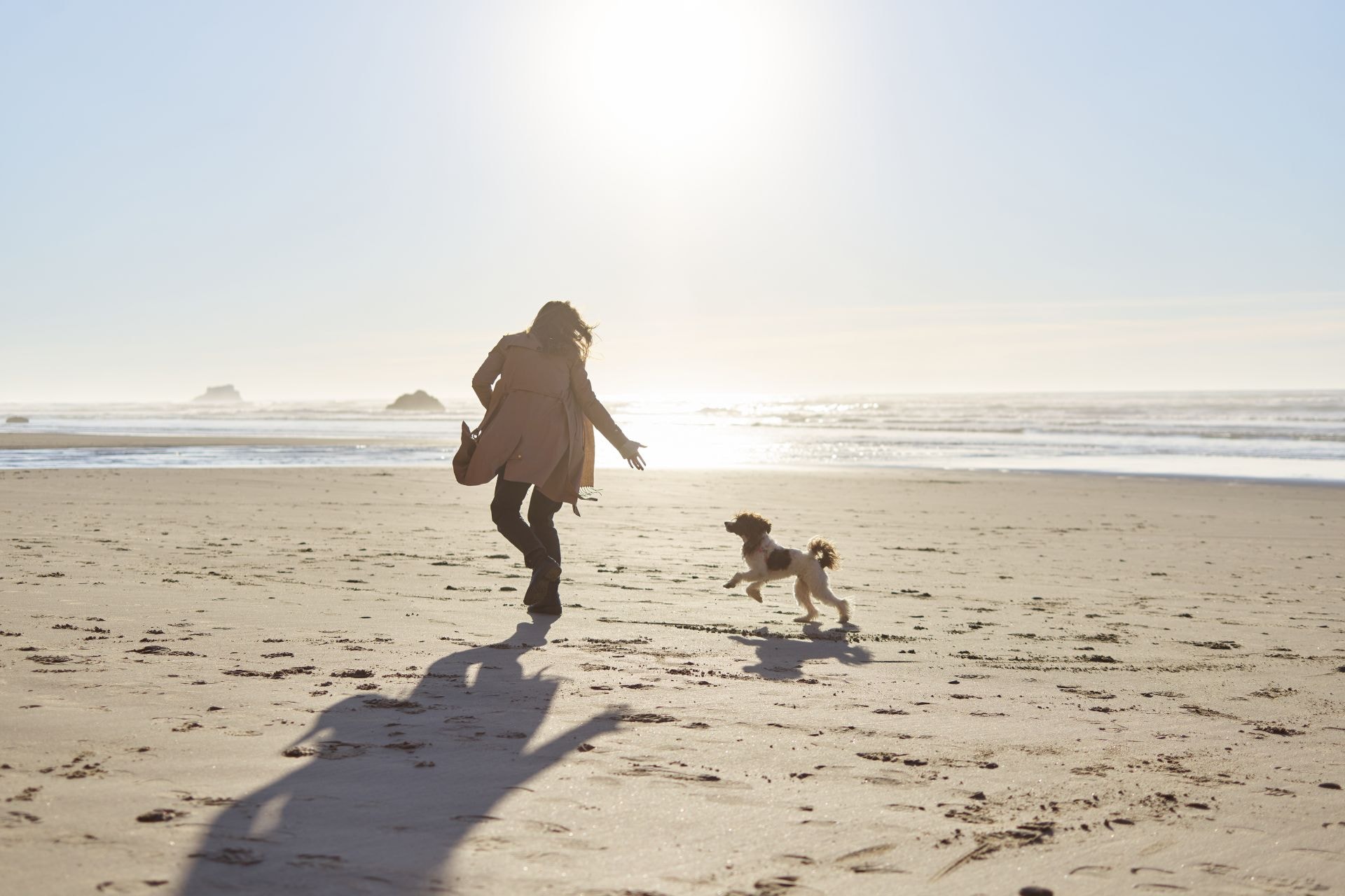 een wandeling maken op het strand met de hond