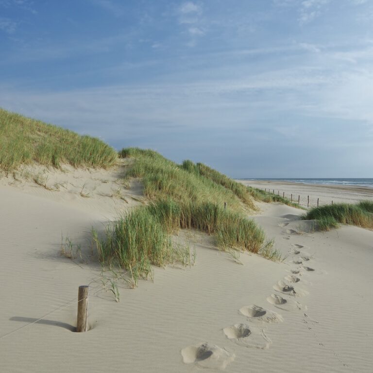 Even tot rust komen? Ga wandelen langs het strand!