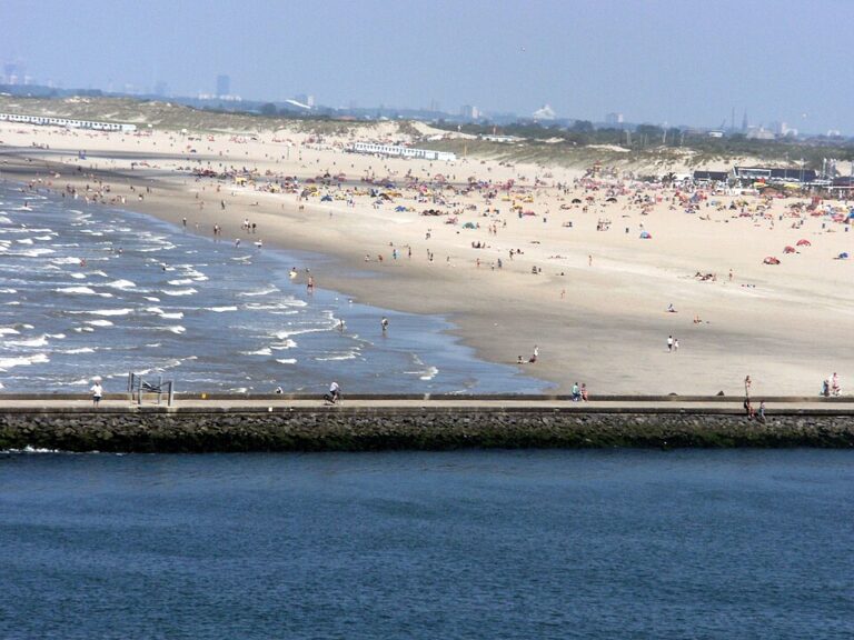 Naar het strand van Hoek van Holland? Deze activititeiten wil je zeker niet missen!